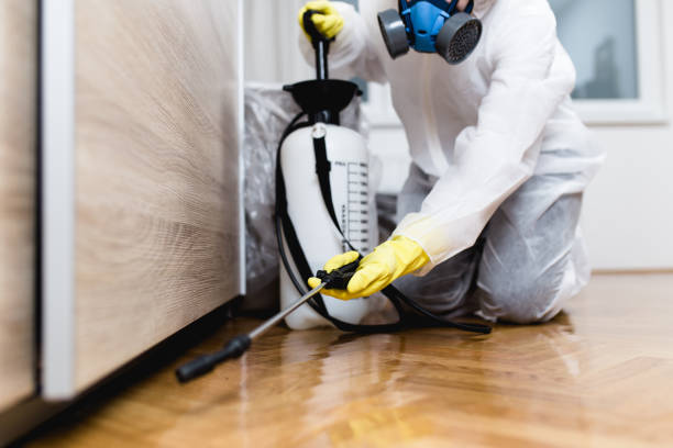 Best Flea Control Services  in Redmond, OR