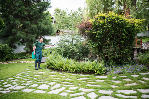 Best Emergency Pest Control  in Redmond, OR