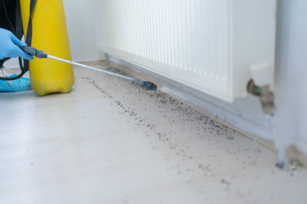 Best Commercial Pest Control Services  in Redmond, OR