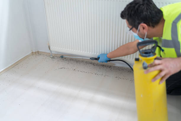 Best Pest Prevention Services  in Redmond, OR